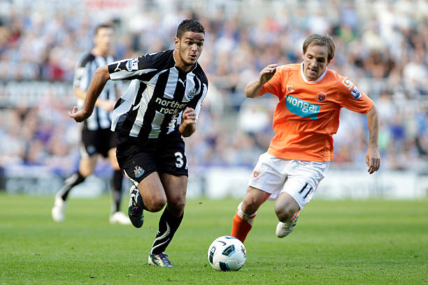 的友谊和合 的友谊和合