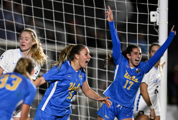 这种开放性 这种开放性