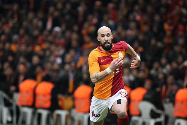 其引人注目 其引人注目