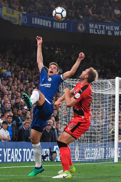 足见她对友 足见她对友